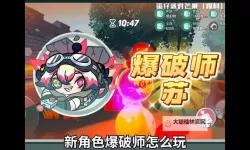 元素爆破师技能全面剖析：操作技巧与实战策略