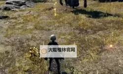 《艾尔登法环》信感偷袭流入侵玩法教学