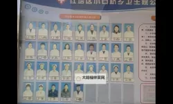 郧县卫生信息网的灯火：记录健康与关怀的每一次跃动