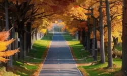 《勇者斗恶龙英雄2》小金币获得方法及兑换道具一览 小金币怎么获得