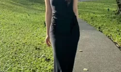 虞书欣父母成功退股涉诈公司引发关注