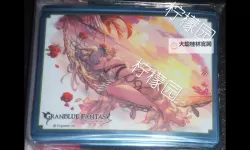 《碧蓝幻想Relink》巴萨拉卡双流派配装分享 巴萨拉卡怎么配装