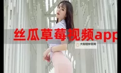 探索多样风格：草莓成人电影的精彩世界