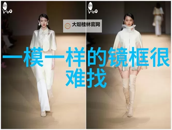 张津瑜吕总1080P网盘:光影里的对话与传闻图1