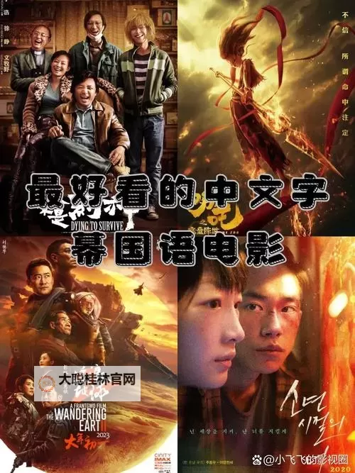 最好看的2019中文字幕国语免费:影像、语言与记忆的交错之路图1