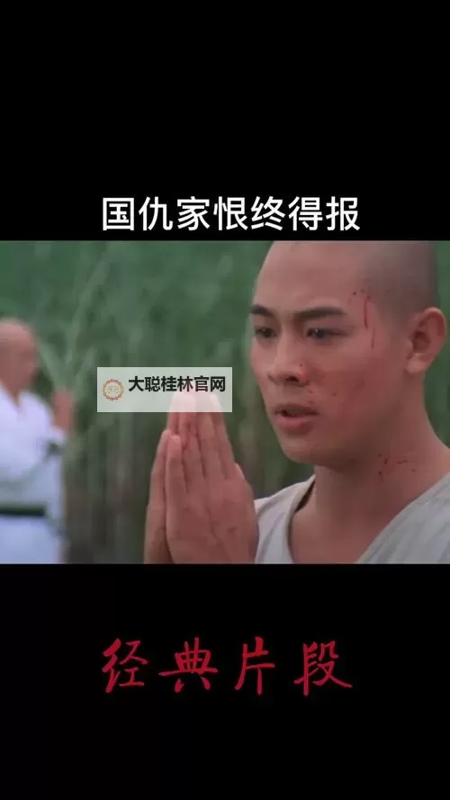 武侠XO双开挂机软件推荐 怎么双开武侠XO详细图文教程图1