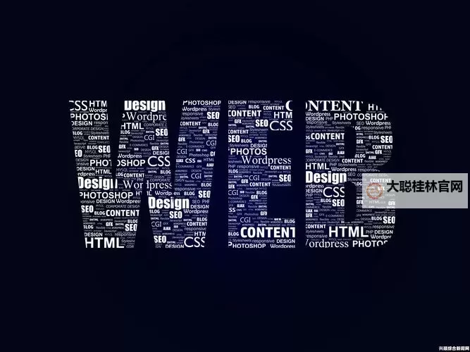 成品网站隐藏通道入口:窥见数字世界的隐秘走廊图1