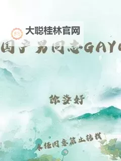 夜幕下的情感试探:国产剧情在线观看gay浪小辉图1