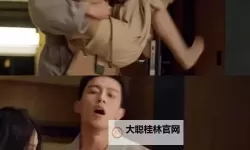 激情故事国产999：夜幕下的相遇与情深