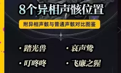 《鸣潮》声骸强化技巧总结