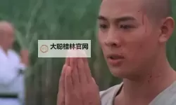 武侠XO双开挂机软件推荐  怎么双开武侠XO详细图文教程