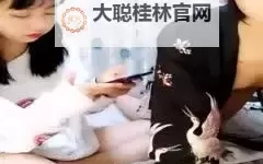 霓虹海岸的回声：在日韩在线2区拾起被时间遗忘的书页