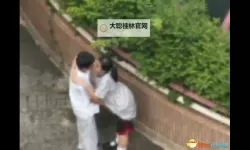 激情门事件在线观看：事件经过、真相解析与社会影响