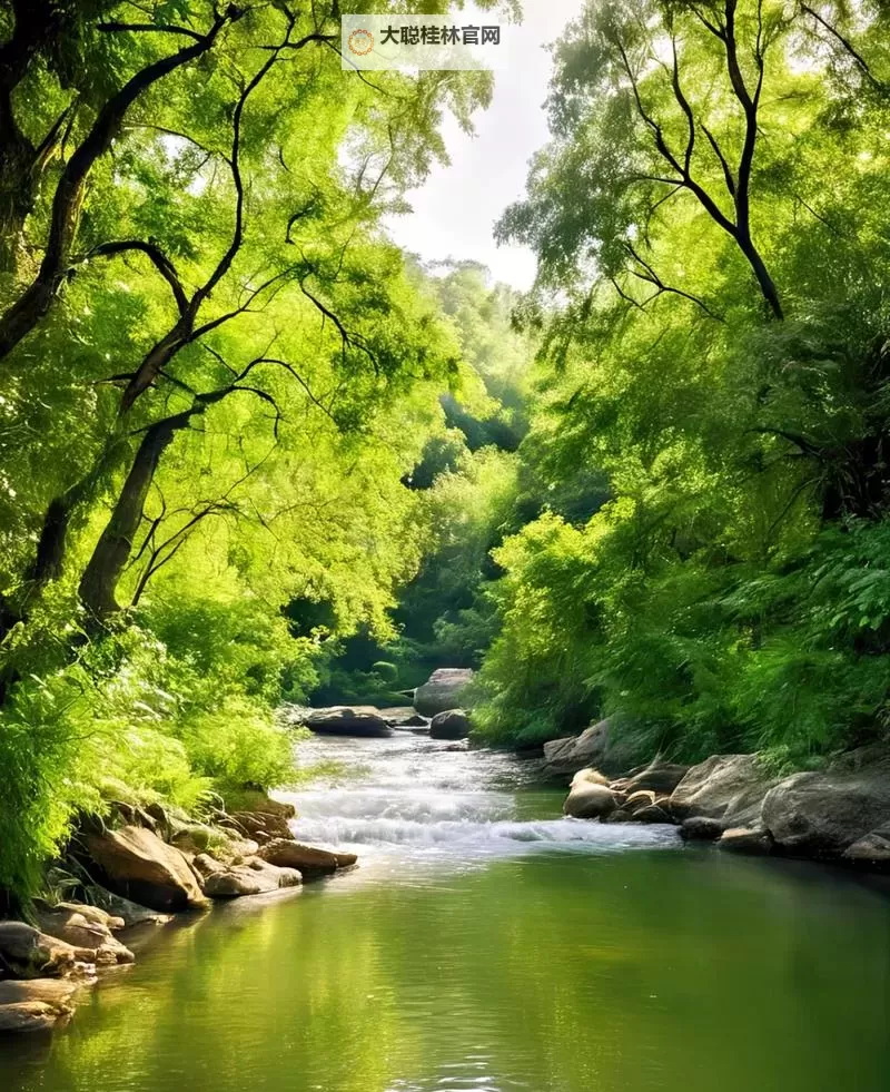 水莓100高清免费视频：影像与记忆的潮汐图1