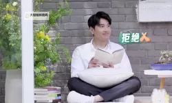 赵又廷直播视频：镜头里的光影与自我