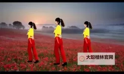 俺来了久久天堂：穿越尘世的归途之歌
