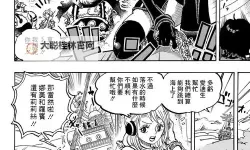 海贼王漫画免费阅读全集观看：海上少年们的传奇与回忆
