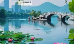 水梅100免费视频：影像边界里的光与梦