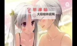 宅男资源久久资源：网络潮流背后的文化与伦理对话