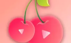 向日葵草莓丝瓜樱桃秋葵绿巨人视频：田野里的夏日颜色与味觉传说