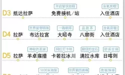 揭秘9+1免费版：免费背后的九重世界