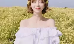 最近好看的2019免费：在光影里拾起岁月的温度