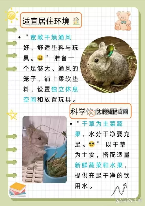 甜蜜厨房日记:怎么喂老公吃小兔兔图1