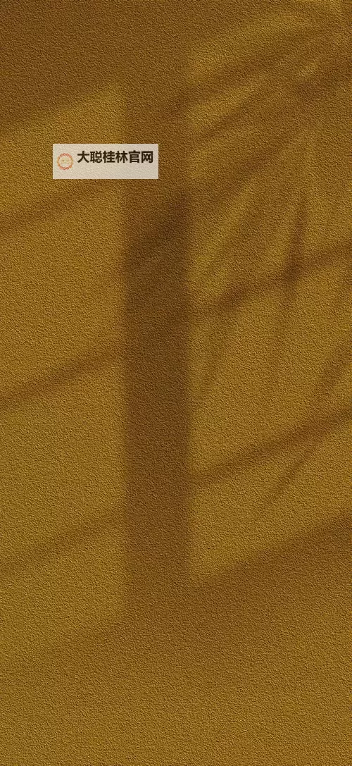 夜半档案:黄色....com 的回声在旧城街巷里回响图1