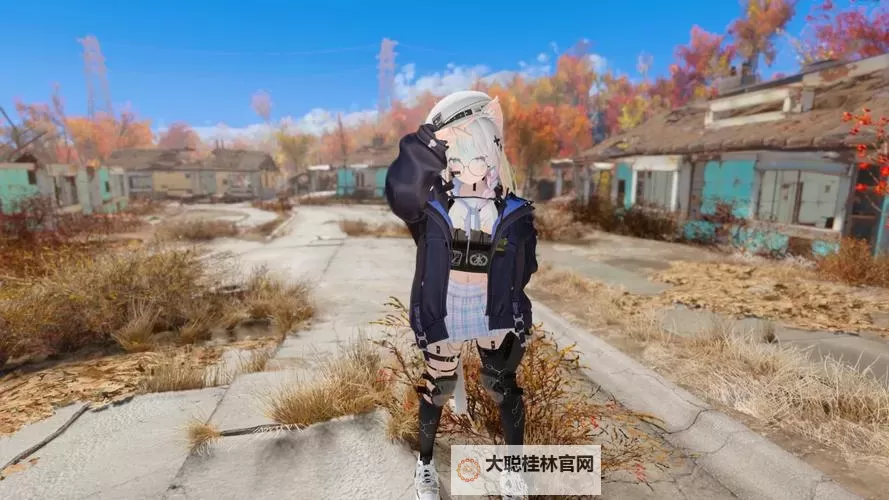 《辐射4》带机器人快速旅行方法 怎么带机器人快速旅行图1