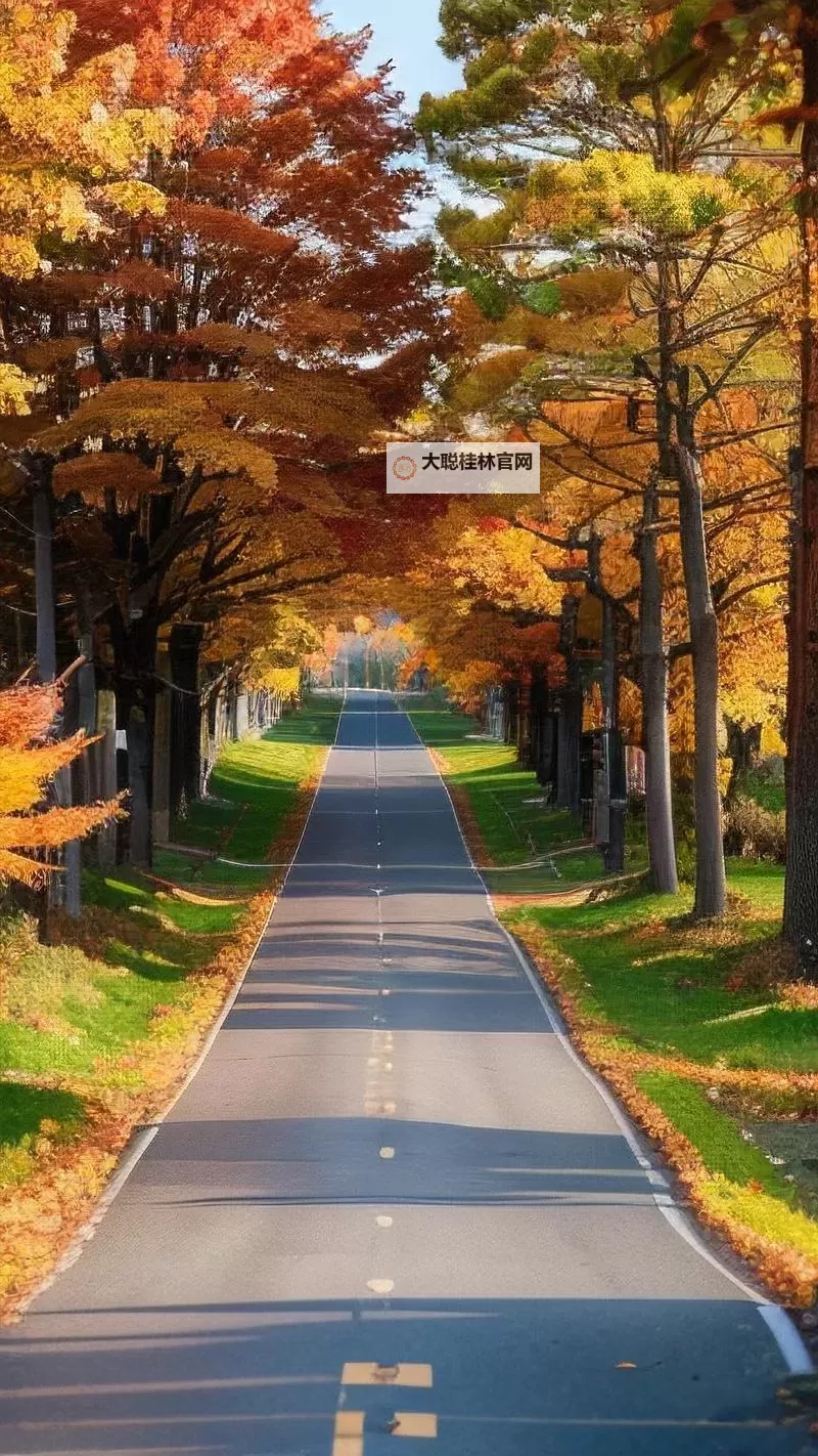 essuess电影在线播放：高清资源免费在线观看，尽览最新影片全集图1