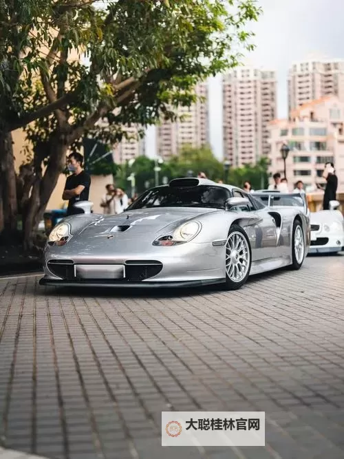 911国产:91九色蝌蚪背后的秘密图1