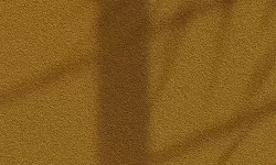 夜半档案：黄色....com 的回声在旧城街巷里回响