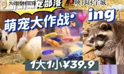 怎么双开萌宠大作战？ 萌宠大作战双开挂机图文全攻略