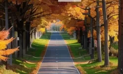 essuess电影在线播放：高清资源免费在线观看，尽览最新影片全集