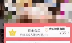 色咪网：夜色中的光影诗篇