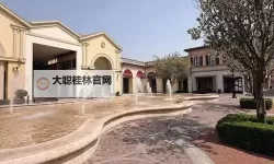 最好BT天堂：数字海潮中的自由与欲望