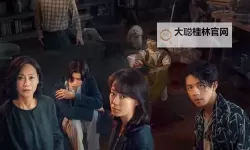 如如影视理论2023年最新更新：在银幕之海里寻找叙事的灯塔