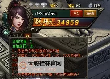 寒刀挂机软件&双开软件推荐  轻松搞定寒刀双开和挂机图1