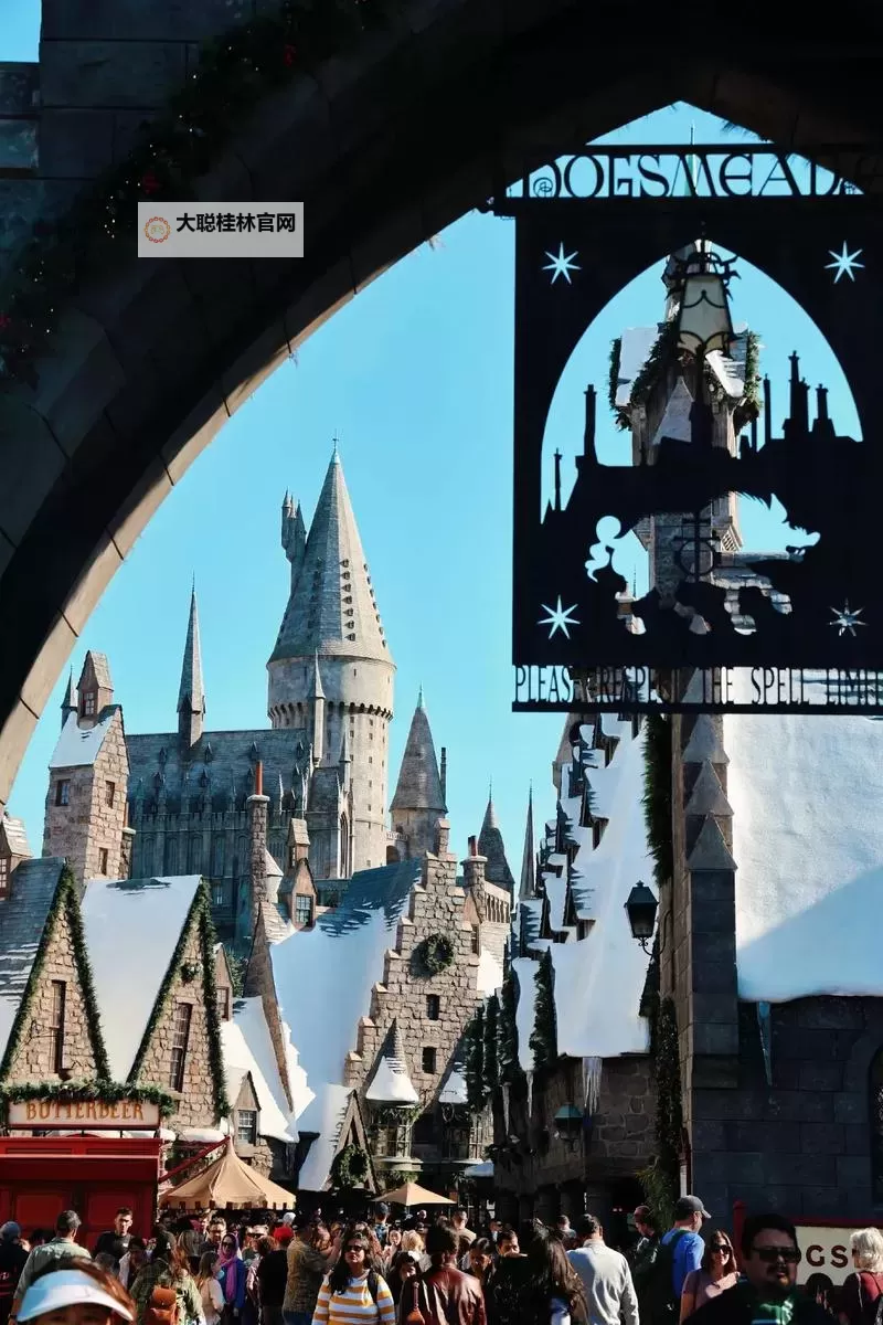 穿越纸页的低语：真的有霍格沃茨吗图1