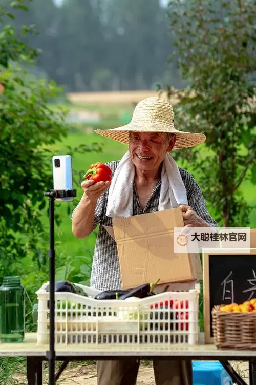 三农VR直播：把田野里的声音送进每一个屏幕图1