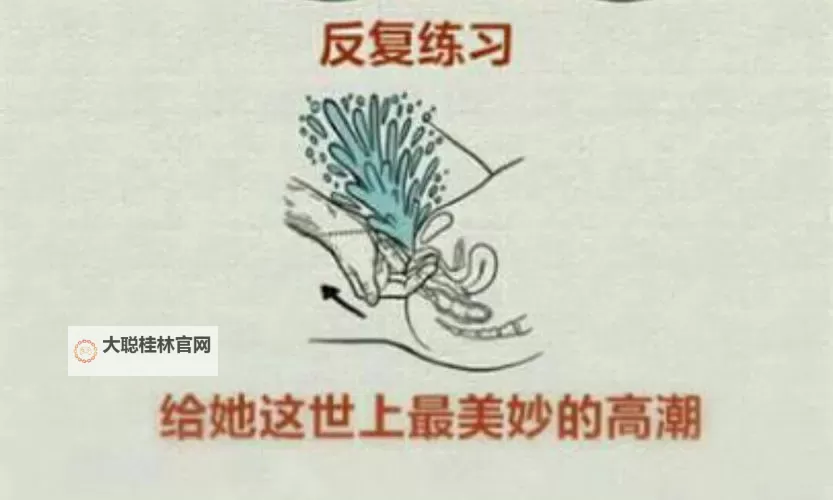 文化冲击与商业风潮：前十名性高潮网站的崛起与影响图1