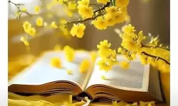 《潜行者2切尔诺贝利之心》辐射状态效果及治疗方法 辐射状态怎么治疗