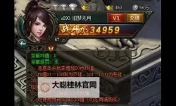 寒刀挂机软件&双开软件推荐  轻松搞定寒刀双开和挂机