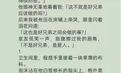 夜幕之上,辣文合集在线悄然展开