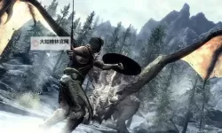 《上古卷轴5》快速上手心得 新手攻略