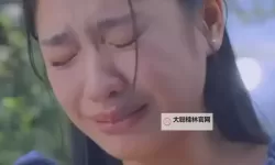 综琼瑶之甜心的悲喜人生:爱恨交错的岁月长卷