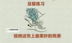 文化冲击与商业风潮：前十名性高潮网站的崛起与影响