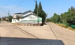 起草口:纸端的晨光与回忆